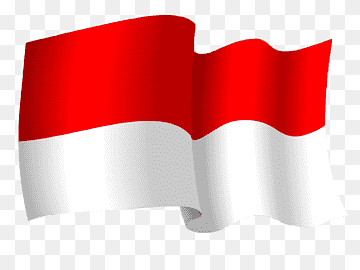 Indonesian Flag